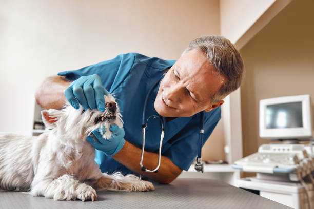 Best 24-Hour Emergency Dentist in Providence Village, TX